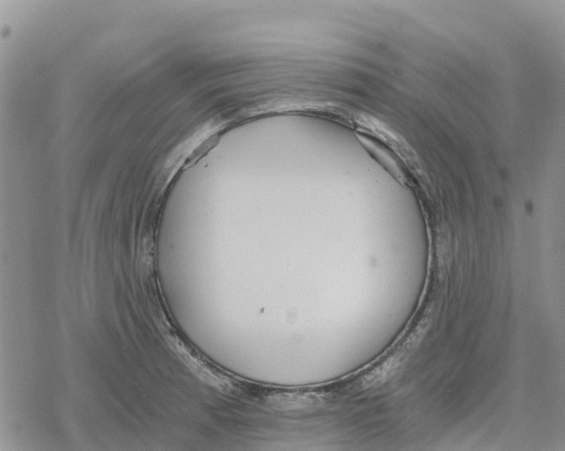 X0000078281185200611251410