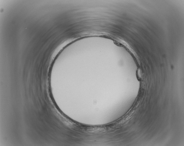 X0000078281187200611251410