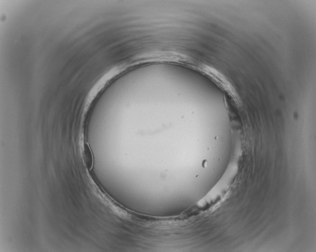 X0000078281188200611251410