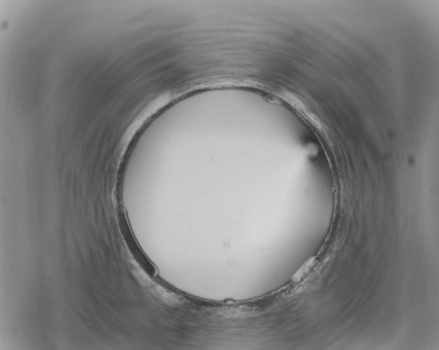 X0000078281189200611251410