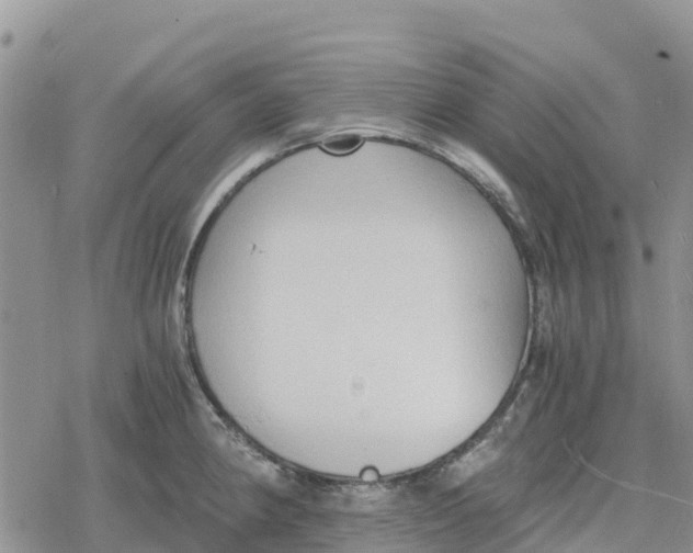 X0000078281190200611251410