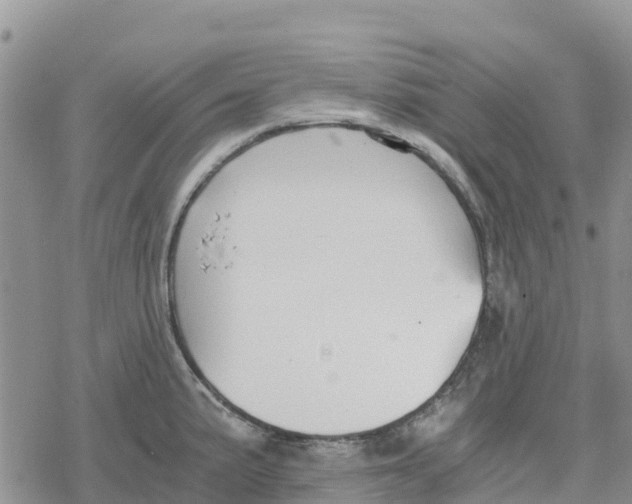 X0000078281191200611251410