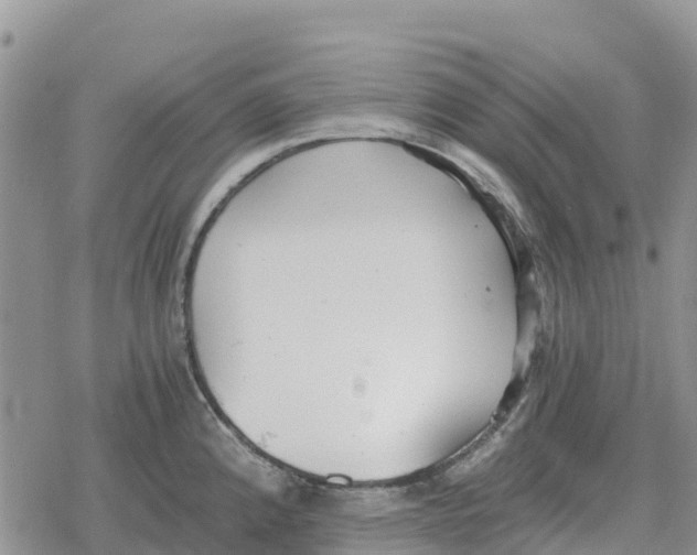 X0000078281192200611251410