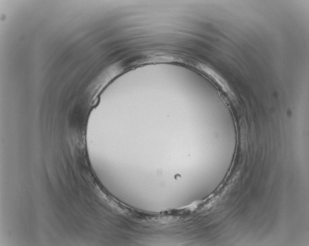 X0000078281193200611251410