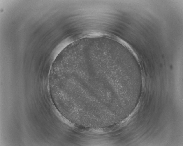 X0000078281194200611251410