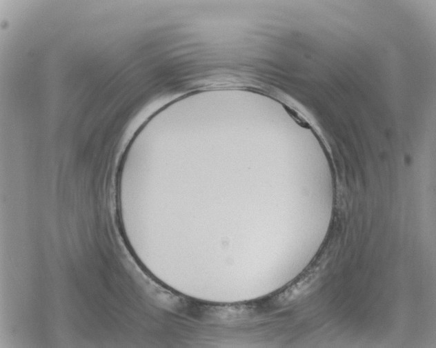 X0000078281195200611251410