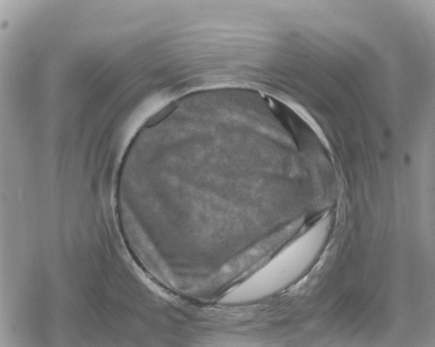 X0000078281197200611251410