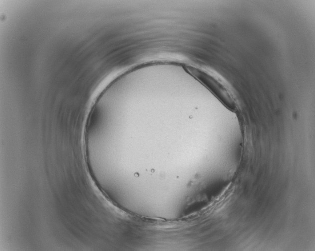 X0000078281199200611251410