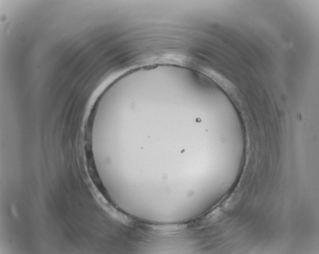 X0000078281200200611251410