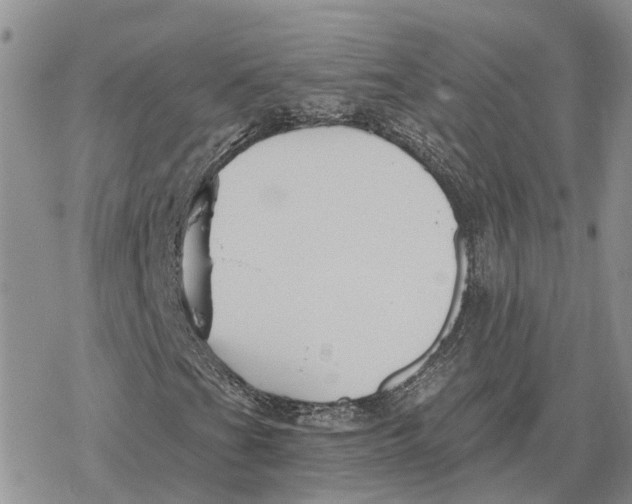 X0000078281201200611251409