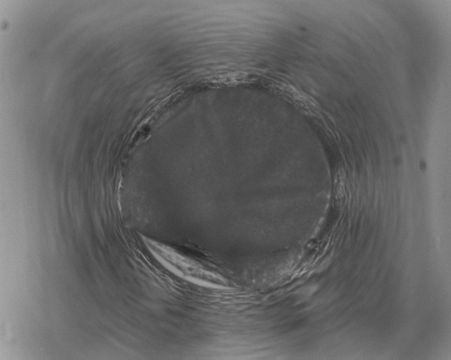 X0000078281202200611251409