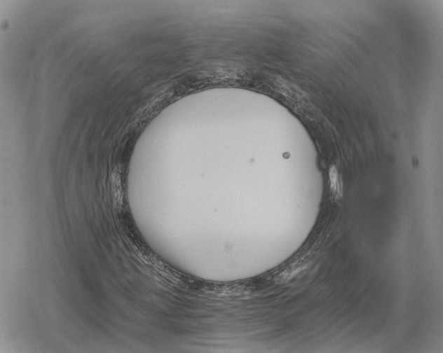 X0000078281203200611251409