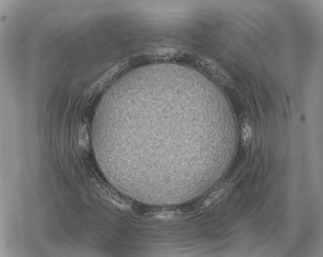 X0000078281204200611251409