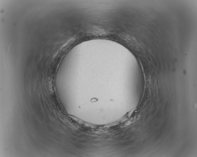 X0000078281205200611251409