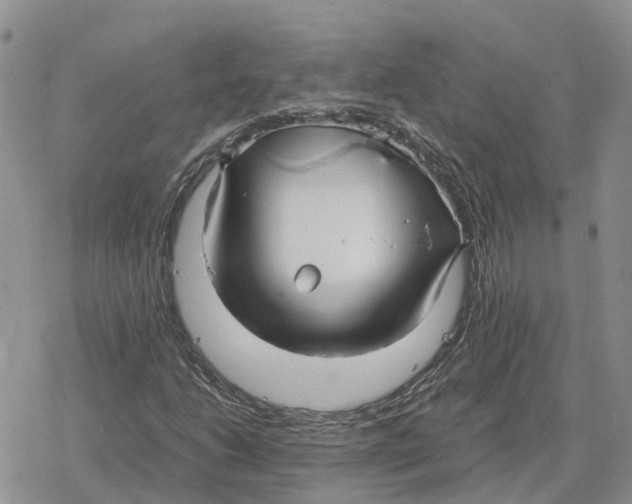 X0000078281206200611251410