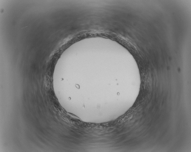 X0000078281207200611251410