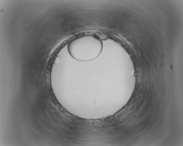 X0000078281208200611251410