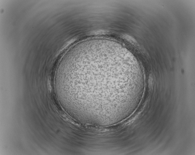 X0000078281209200611251410