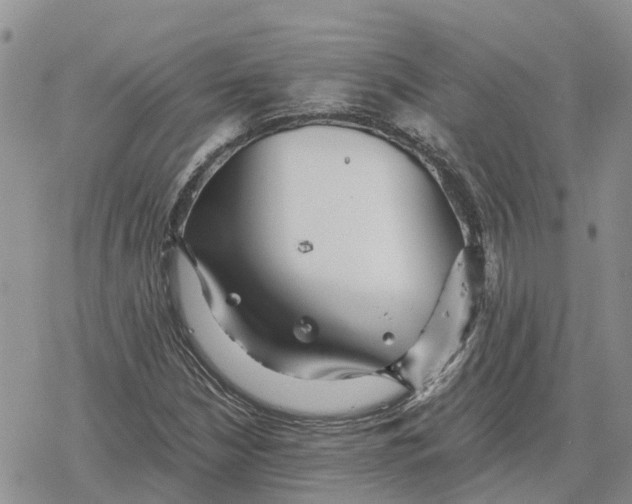 X0000078281210200611251410