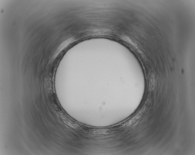 X0000078281211200611251410