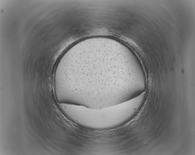 X0000078281212200611251410