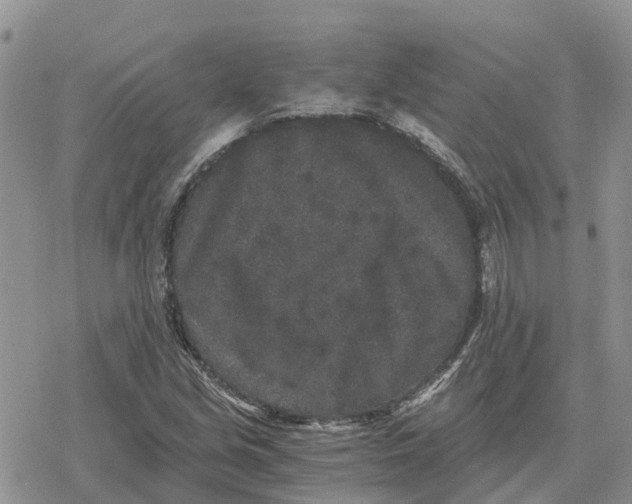 X0000078281213200611251410