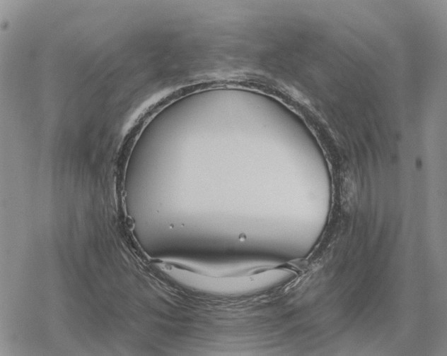 X0000078281214200611251410