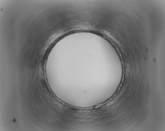 X0000078281215200611251410