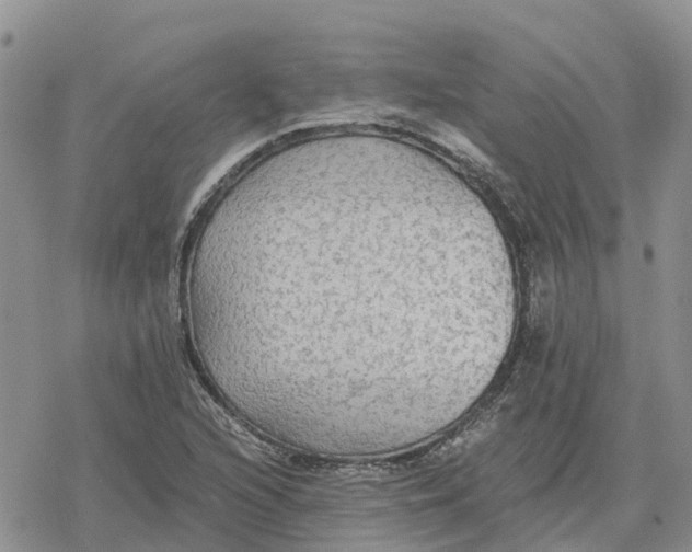 X0000078281216200611251410