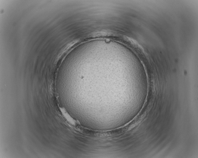 X0000078281217200611251410