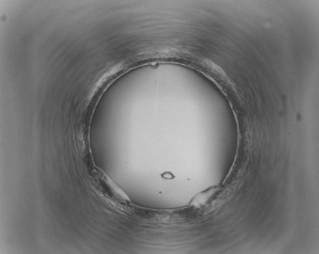 X0000078281218200611251410