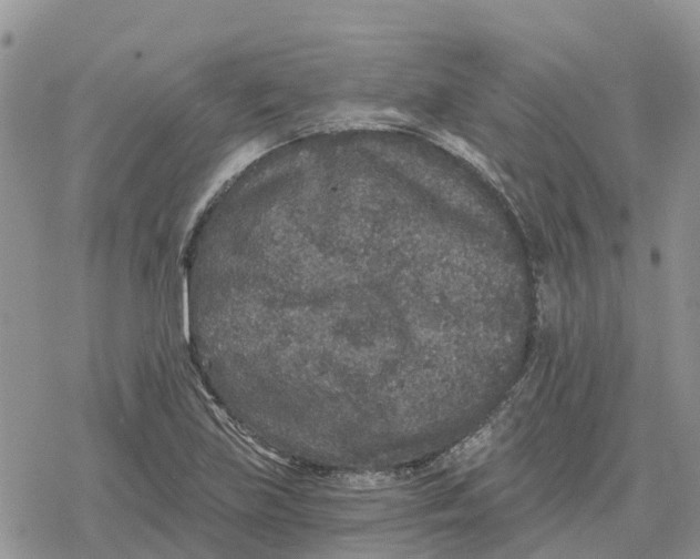 X0000078281219200611251410