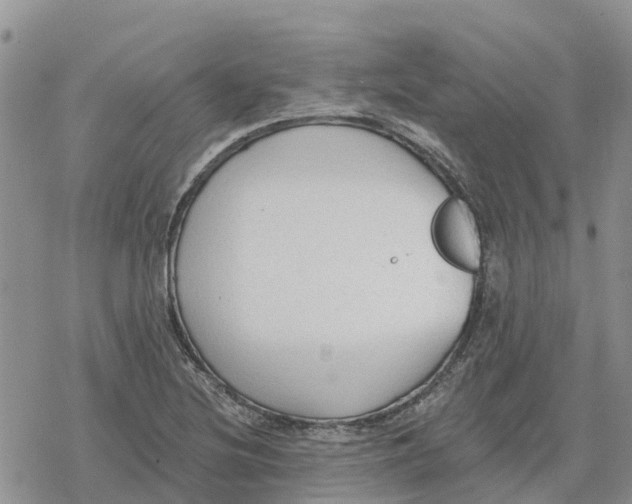 X0000078281220200611251410