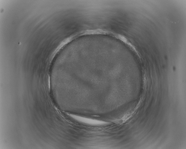 X0000078281221200611251410