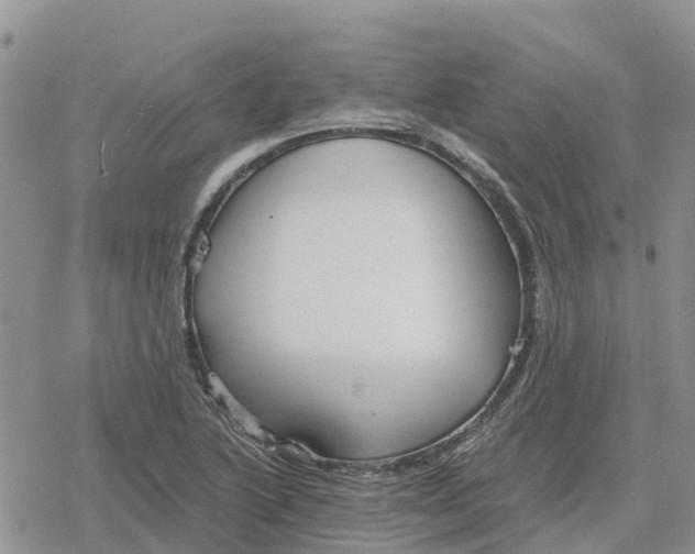 X0000078281222200611251410