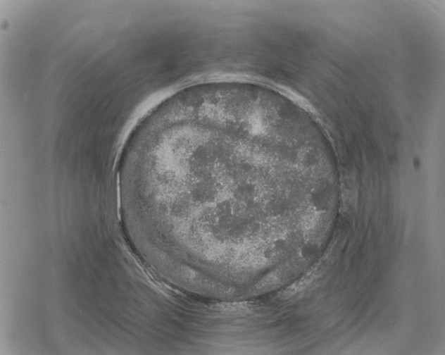 X0000078281223200611251410