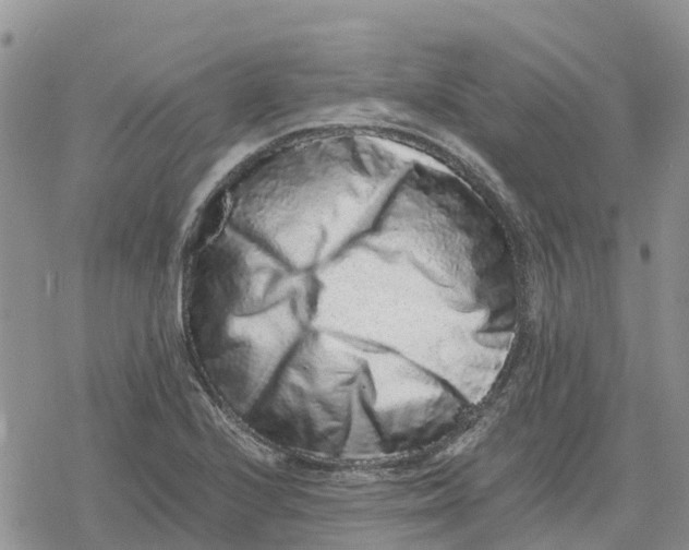 X0000078281224200611251410