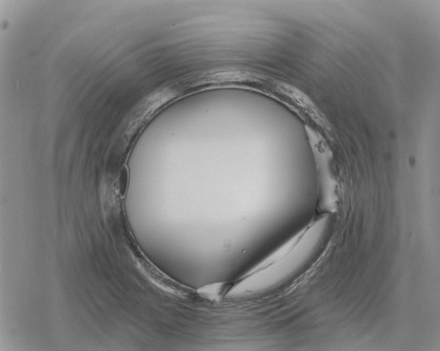 X0000078281225200611251410