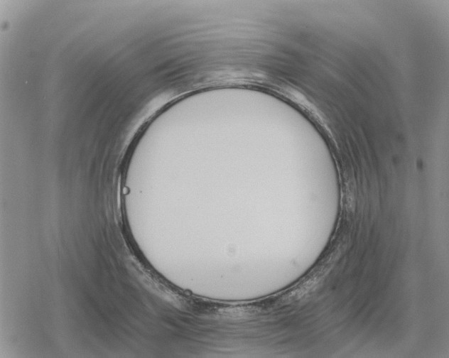 X0000078281227200611251410