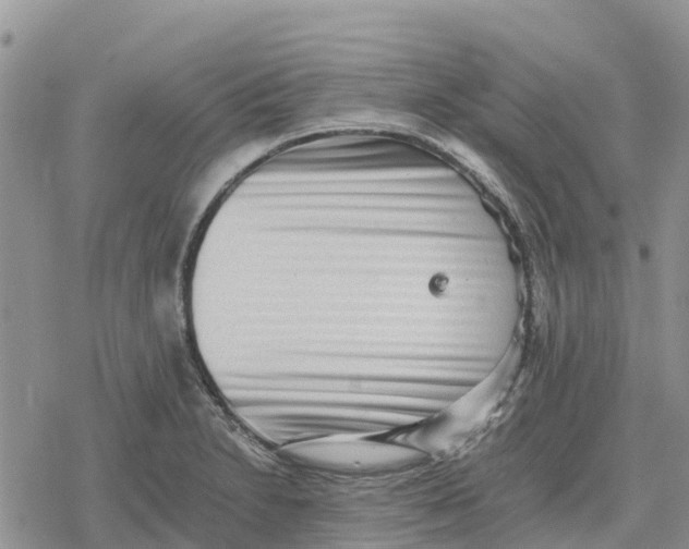 X0000078281230200611251410