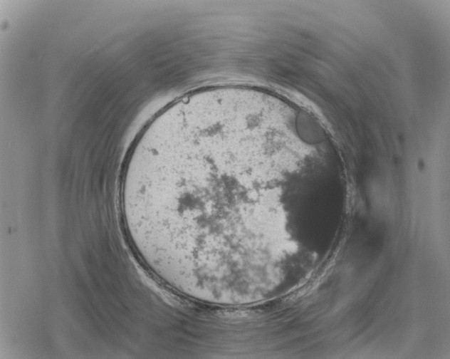 X0000078281231200611251410