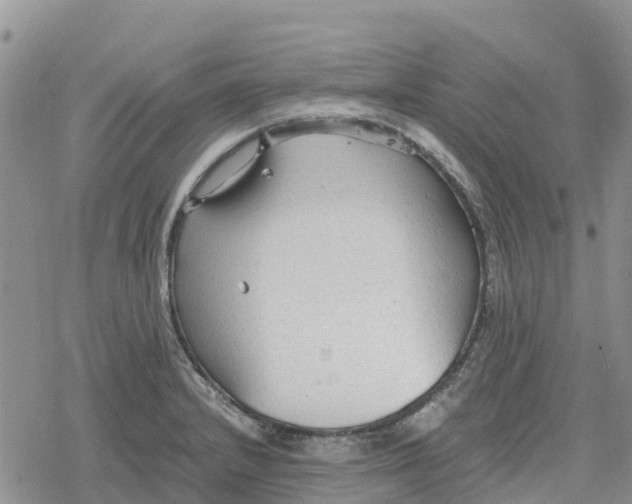 X0000078281232200611251410