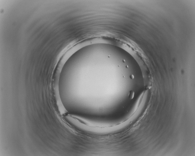 X0000078281234200611251410