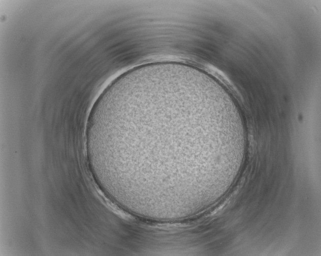 X0000078281236200611251410