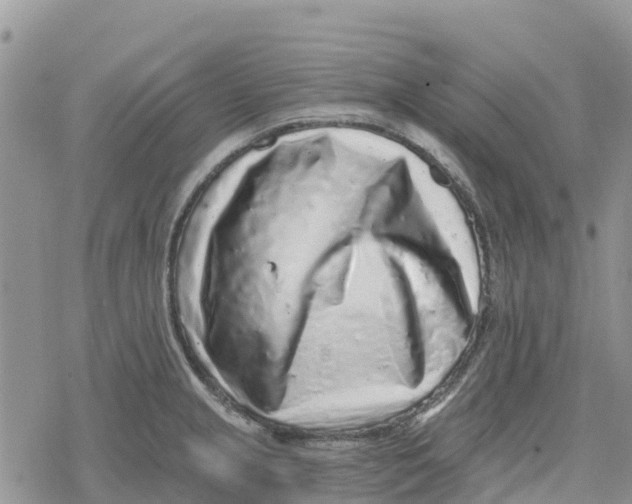 X0000078281237200611251410