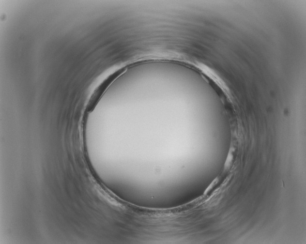 X0000078281238200611251410