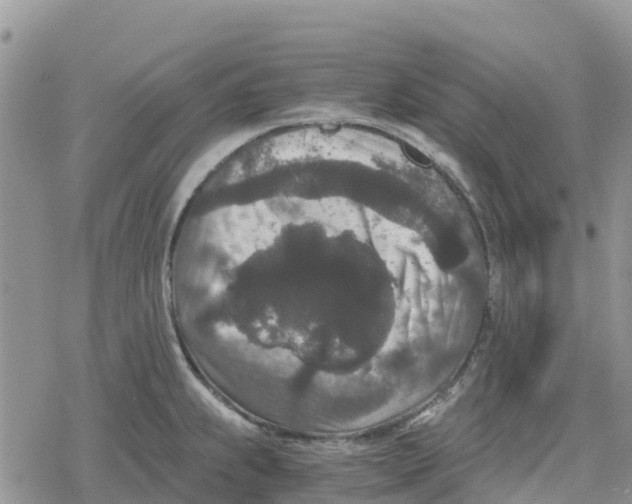 X0000078281239200611251410