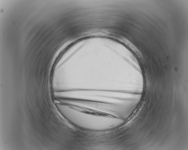 X0000078281240200611251410