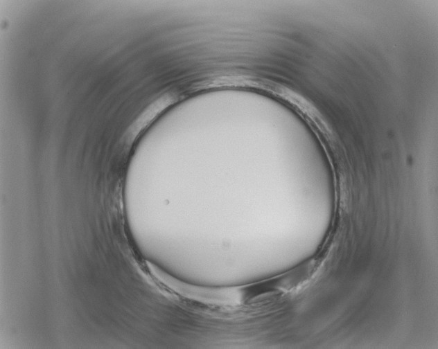 X0000078281241200611251410