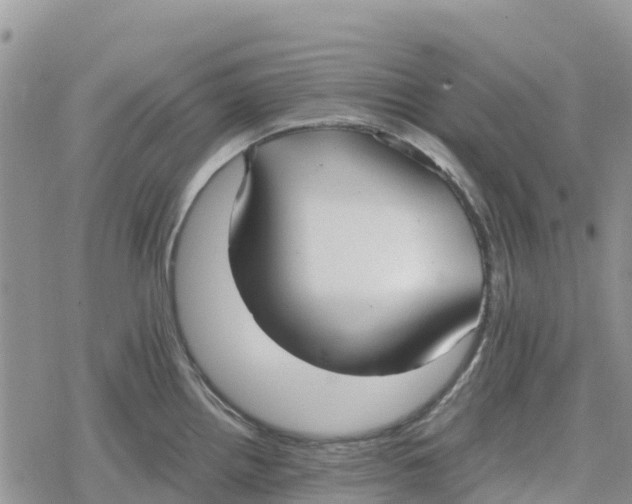 X0000078281242200611251410